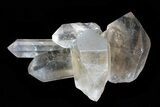Lot: Lbs Smoky Quartz Crystals (-) - Brazil #77825-4